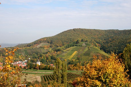 Bildvorschau